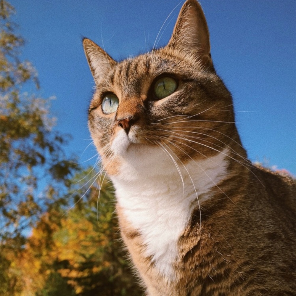 Meet your Posher, Zoe